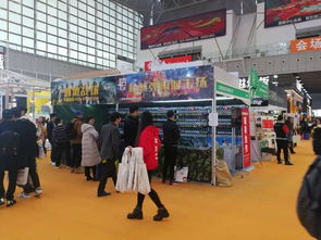 上海哲鄭實(shí)業(yè) 射擊游戲給你絕對(duì)刺激 智能游樂 相聚義烏