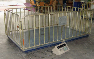 養(yǎng)雞場5T家禽稱重秤工廠直銷-產(chǎn)品報價-上海實干實業(yè)