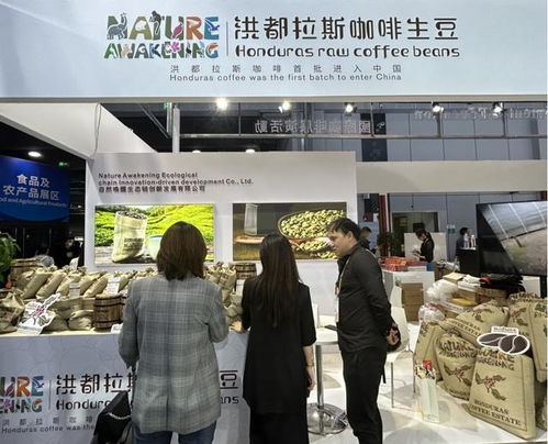 進博會多項規模創新高,朋友圈不斷擴大 讓世界共享中國大市場機遇