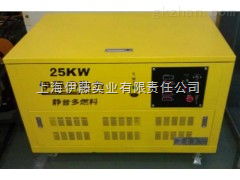 yt25reg 油田用25千瓦汽油發(fā)電機(jī) yt25reg 上海伊藤實(shí)業(yè)有限責(zé)任公司