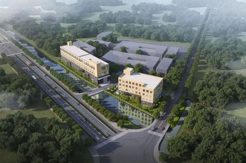 交地即交證 不動產(chǎn)登記 首席登記官 助推項(xiàng)目建設(shè)提速增效